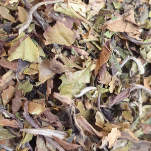 Products: White Peony Tea, Organic Herb Nerd NZ