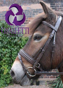 Cavaletti: Cavaletti Discovery Flash Bridle