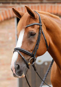 Clearance: PE Sport Bellissima Crank Bridle with Diamante Browband