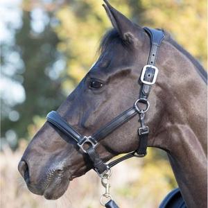 Halters: LeMieux Anatomic Headcollar - REDUCED!