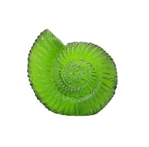 Glass Cast Ammonite
