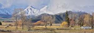 Peter Latham: Winter's Arrival - Framed Canvas