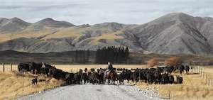 Peter Latham: High Country Muster
