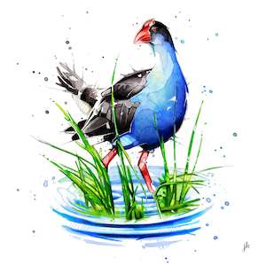 Jeremy Kyle: Pukeko - Open Edition Print - Unframed