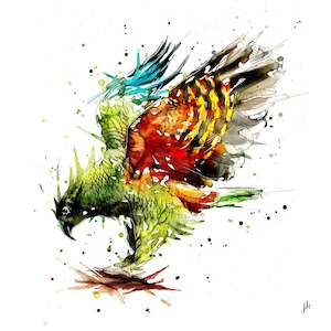 Jeremy Kyle: Kea - Open Edition Print - Unframed