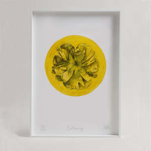 Buttercup - Unframed