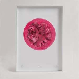 Rose  - Unframed