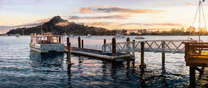 Prints: Early Morning,Tairua Wharf - Framed