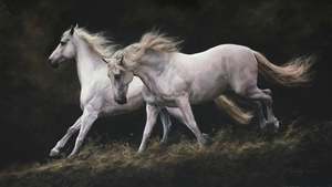 The Joy Of Freedom