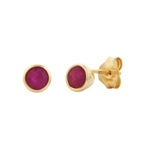 Earrings: 9ct Yellow Gold Natural Ruby Rubover Studs
