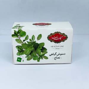 GOLESTAN Mint Herbal Tea 20TB 32g