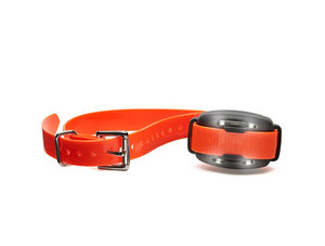 Products: S-15 Remote Trainer: Second Dog Receiver Collar - Hidden Fence