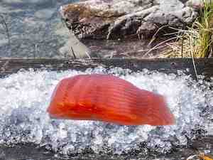 Cured: Bourbon & Maple Cured Salmon