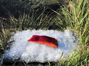 Smoked Cured Salmon: Beetroot Cold Smoked