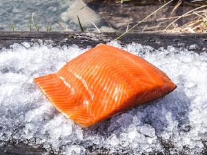Smoked Cured Salmon: Cold Smoked - Oak