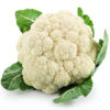 Products: Celery