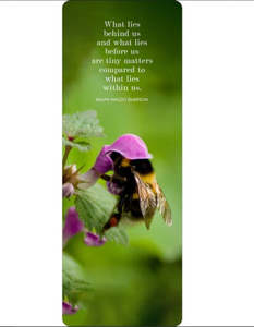 Best Selling: Bee BookMark 2