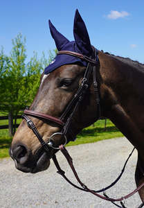 Horse: Ear Bonnet