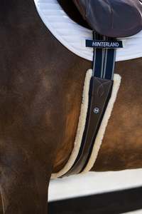 Horse: Everyday Long Girth