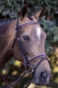 Sale: Tui Bridle