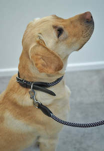 Sale: Rope Collar