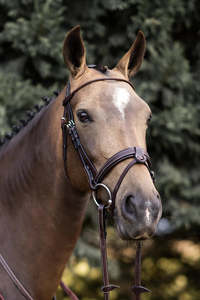 Sale: YHW Classic Bridle - Sale