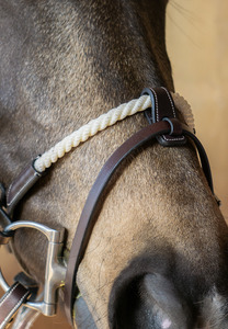 Horse: Rope Noseband
