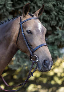Dolly Bridle