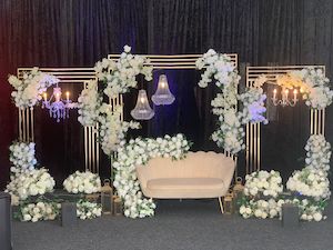 Women Shirts: Black Theme Reception