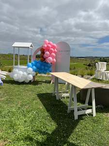 Chill Package 8 (baby Shower)