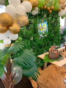 Party Packages: Safari Theme Birthday Package
