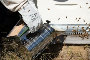 Empire Smoker - Hive World