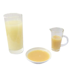 Frontpage: Yogurt Syrup 2.5KG 乳酸