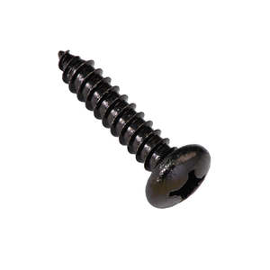 Champion Self Tapping Screw 10G x 1in - 50pk