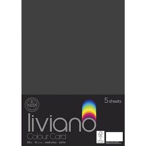 The Paper House Liviano 300gsm A3 Colour Card Pack Of 5