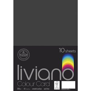 The Paper House Liviano 300gsm A4 Colour Card Pack Of 10