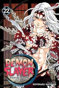 Demon Slayer Manga: Demon Slayer Manga - Volume 22