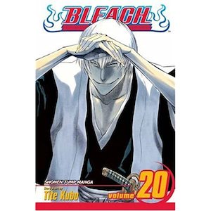 Bleach Manga Volume 20