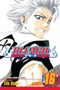 Bleach Manga: Bleach Manga Volume 16