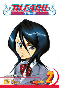 Bleach Manga Volume 2