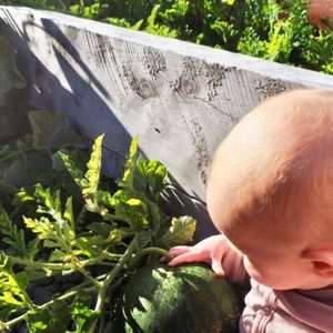 Products: Baby Food Sensitivities Nutrition Guide