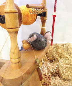 Classes Appointments And Services: Spinning Sunday