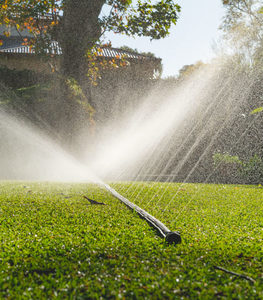 ⌀12mm × 30m Yardmate™ Garden Hose - Holman Industries