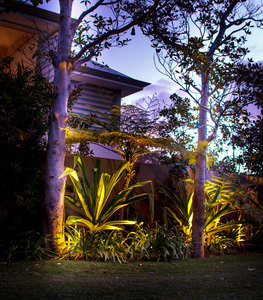 Warm White Bluetooth® Garden Light Controller - Holman Industries
