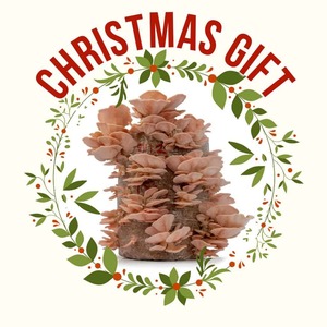 Products: Xmas 3kg Grow Kits