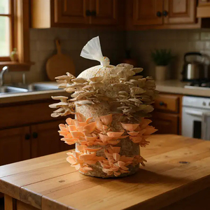 Products: 5kg Pink & Grey Combo