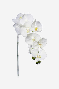 Faux Greenery: Large Orchid Spray - White