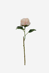 Faux Greenery: Opening Peony - Shell