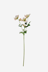 Faux Greenery: Full Bloom Christmas Rose - Peach