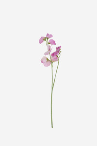 Faux Greenery: Sweetpea Spray - Lilac
